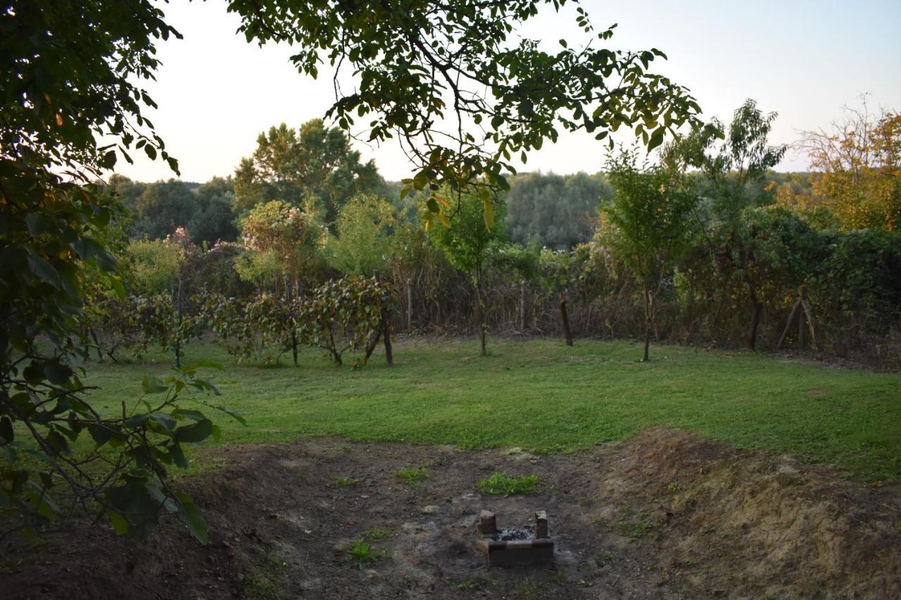 Odmor Za Dusu I Tijelo U Srcu Prirode Villa Aljmas Exterior photo